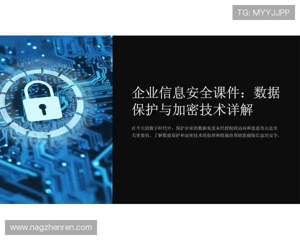 PA官网的隐私政策与用户数据保护措施