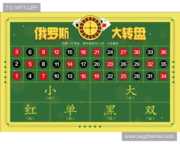 了解PA百家乐的赔率与收益，提升你的游戏收益